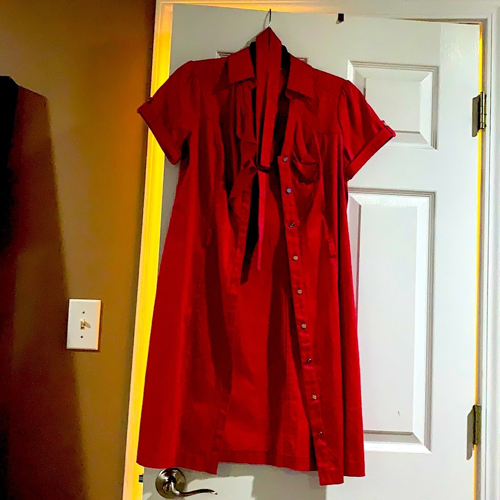 Women’s Dress sized 6 Rose colored